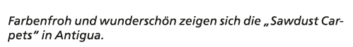 Farbenfroh und wundersch n zeigen sich die „Sawdust Carpets“ in Antigua. 