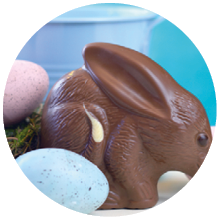 Australian milk chocolate Bilby Easter egg with eggs in nest against a blue and white background with copy space.