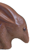 Australian milk chocolate Bilby Easter egg with eggs in nest against a blue and white background with copy space.