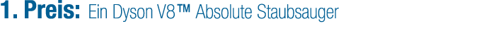 1. Preis: Ein Dyson V8™ Absolute Staubsauger