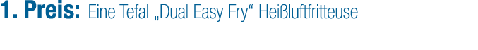 1. Preis: Eine Tefal „Dual Easy Fry“ Hei luftfritteuse