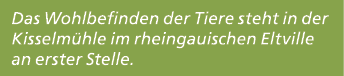 Das Wohlbefinden der Tiere steht in der Kisselm hle im rheingauischen Eltville an erster Stelle. 
