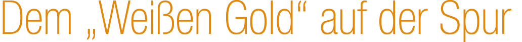 Dem „Wei en Gold“ auf der Spur