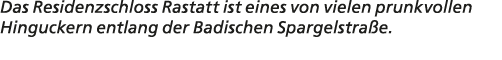 Das Residenzschloss Rastatt ist eines von vielen prunkvollen Hinguckern entlang der Badischen Spargelstra e.