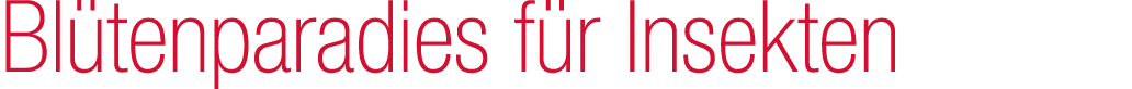 Bl tenparadies f r Insekten