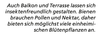 Auch Balkon und Terrasse lassen sich insektenfreundlich gestalten. Bienen brauchen Pollen und Nektar, daher bieten si...