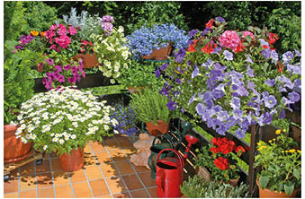 Balkon mit Sommerblumen.                               