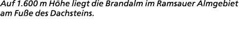 Auf 1.600 m H he liegt die Brandalm im Ramsauer Almgebiet am Fu e des Dachsteins.
