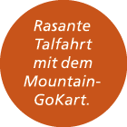 Rasante Talfahrt mit dem Mountain GoKart.