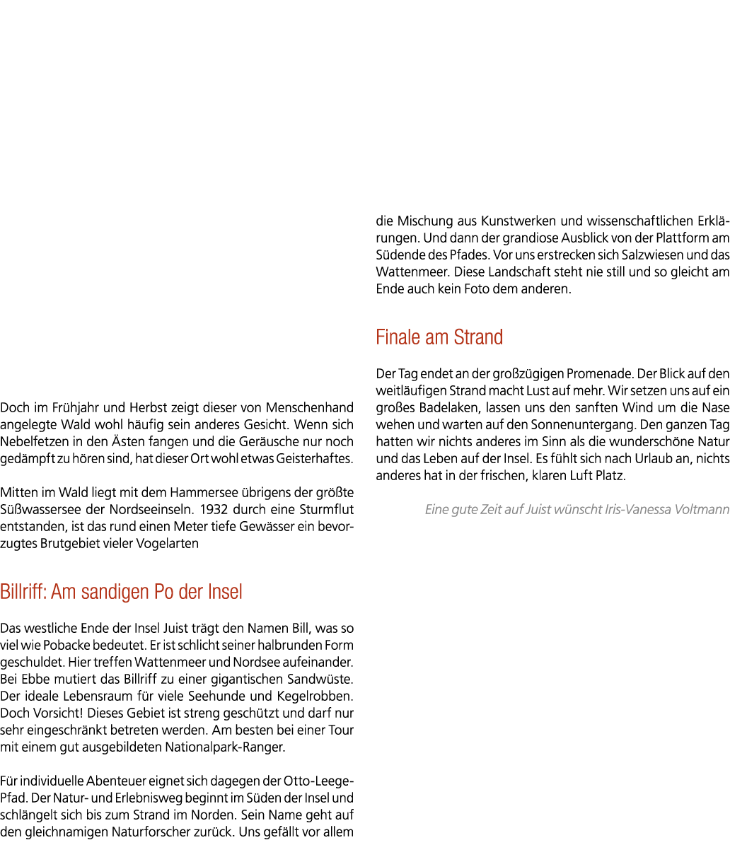 Doch im Fr hjahr und Herbst zeigt dieser von Menschenhand angelegte Wald wohl h ufig sein anderes Gesicht. Wenn sich ...