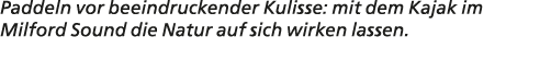 Paddeln vor beeindruckender Kulisse: mit dem Kajak im Milford Sound die Natur auf sich wirken lassen. 