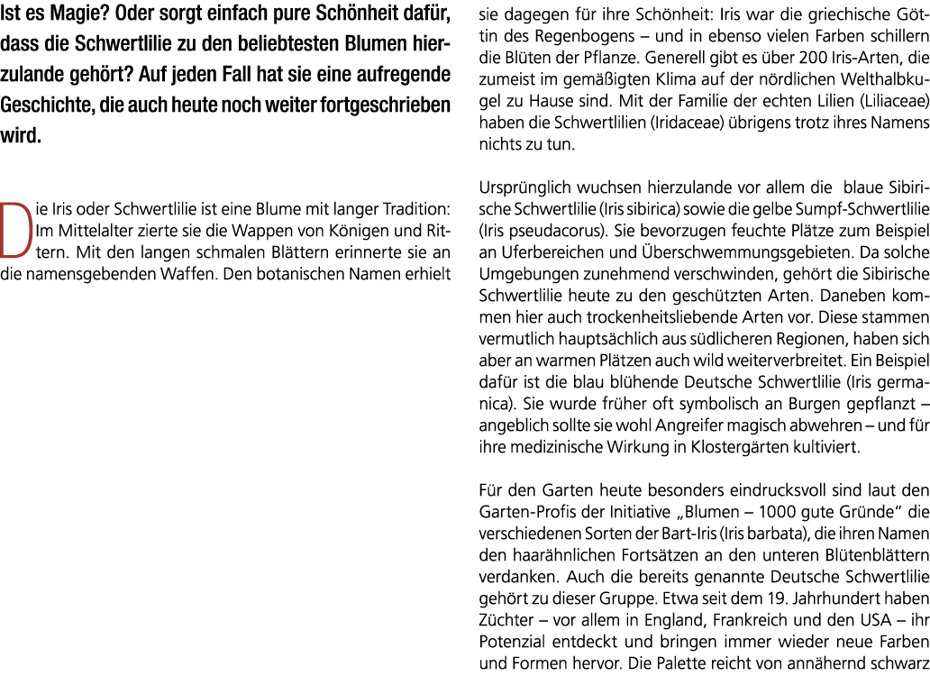 Ist es Magie? Oder sorgt einfach pure Sch nheit daf r, dass die Schwertlilie zu den beliebtesten Blumen hierzulande g...