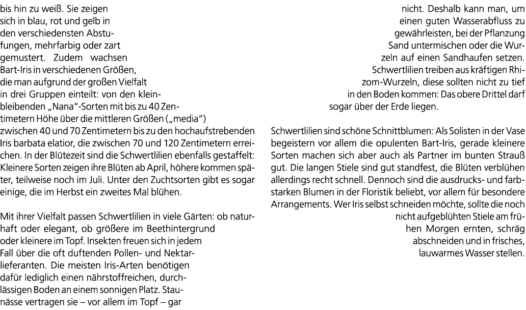 bis hin zu wei . Sie zeigen sich in blau, rot und gelb in den verschiedensten Abstufungen, mehrfarbig oder zart gemus...