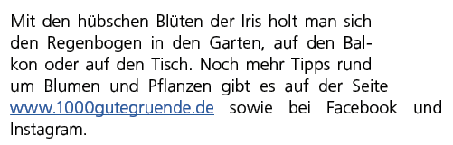 Mit den h bschen Bl ten der Iris holt man sich den Regenbogen in den Garten, auf den Balkon oder auf den Tisch. Noch ...