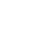 Die Sibirische Schwertlilie (Iris sibirica) w chst auf feuchten Wiesen. Sie steht in Deutschland unter Naturschutz.