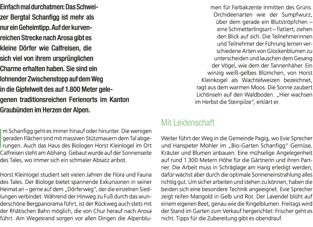 Einfach mal durchatmen: Das Schweizer Bergtal Schanfigg ist mehr als nur ein Geheimtipp. Auf der kurvenreichen Streck...