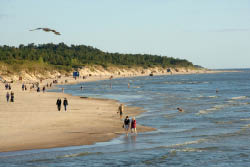 Das Bild zeigt einen Strandweg, rechts ist das Meer. Menschen spazieren entlang des Strandes und ber ihnen fliegt eine M we. Im Hintergrund sind B ume. Der Himmel ist klar und blau 