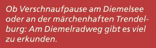 Ob Verschnaufpause am Diemelsee oder an der m rchenhaften Trendel­burg: Am Diemelradweg gibt es viel zu erkunden.
