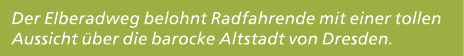 Der Elberadweg belohnt Radfahrende mit einer tollen Aussicht ber die barocke Altstadt von Dresden.