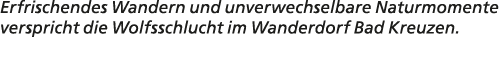 Erfrischendes Wandern und unverwechselbare Naturmomente verspricht die Wolfsschlucht im Wanderdorf Bad Kreuzen.