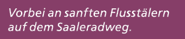 Vorbei an sanften Fluss­t lern auf dem Saaleradweg.