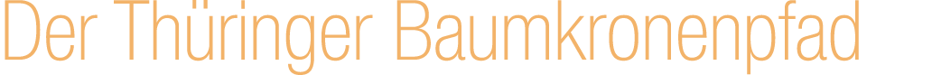 Der Th ringer Baumkronenpfad 