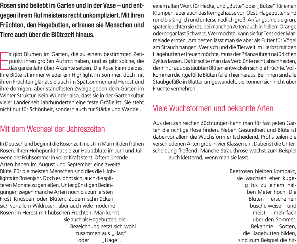 Rosen sind beliebt im Garten und in der Vase – und entgegen ihrem Ruf meistens recht unkompliziert. Mit ihren Fr chte...