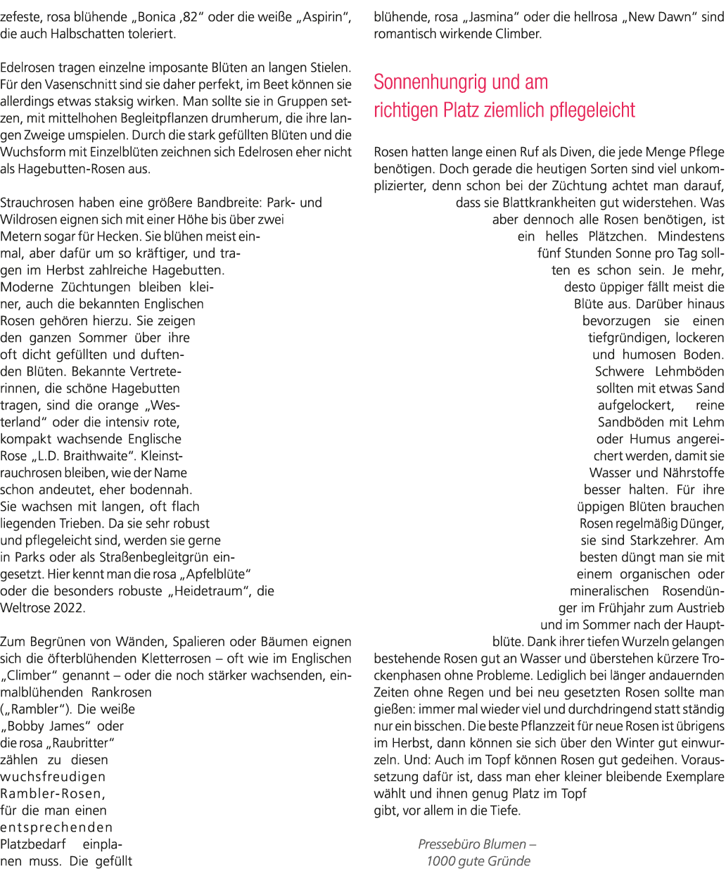 zefeste, rosa bl hende „Bonica ‚82“ oder die wei e „Aspirin“, die auch Halbschatten toleriert. Edelrosen tragen einze...