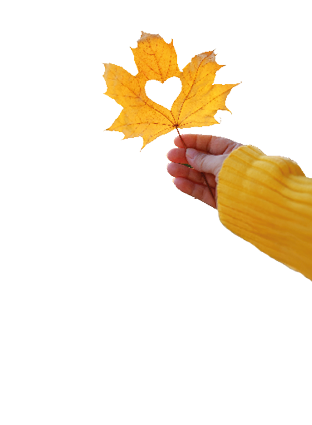 yellow leaf with a heart in a female hand, background of golden leaves lie chaotically on the ground, autumn mood concept, seasonal