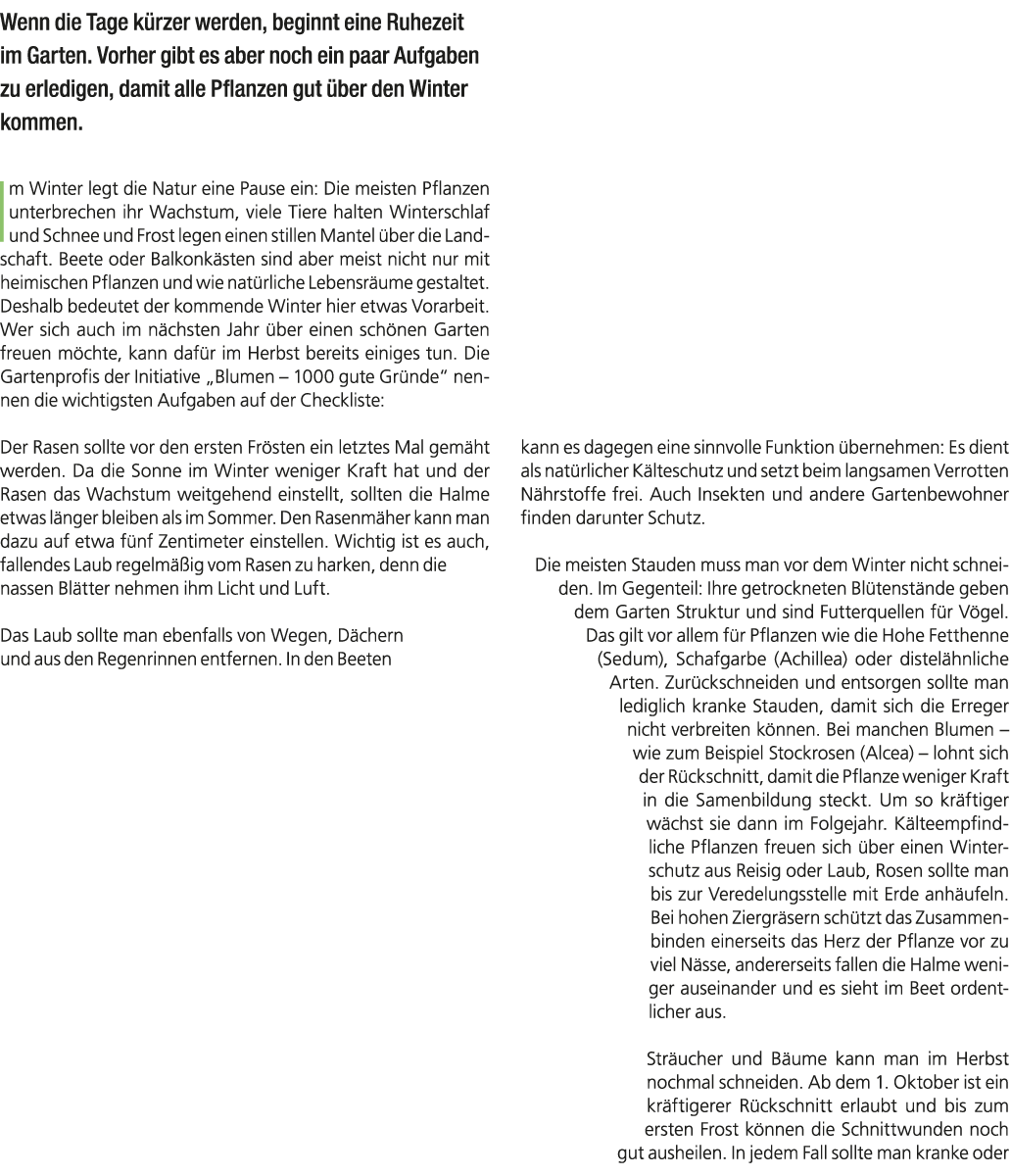 Wenn die Tage k rzer werden, beginnt eine Ruhezeit im Garten. Vorher gibt es aber noch ein paar Aufgaben zu erledigen...