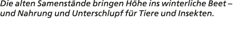 Die alten Samenst nde bringen H he ins winterliche Beet – und Nahrung und Unterschlupf f r Tiere und Insekten.