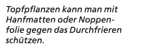 Topfpflanzen kann man mit Hanfmatten oder Noppenfolie gegen das Durchfrieren sch tzen. 