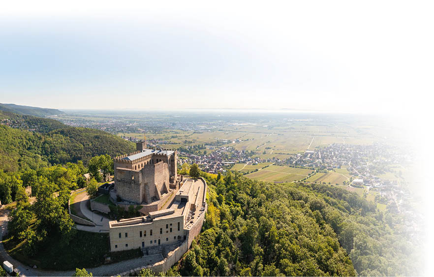 Das Foto zeigt eine Luftaufnahme des Hambacher Schlosses in der Pfalz, eindrucksvoll gelegen auf einem bewaldeten H gel am Rande des Pf lzerwaldes. Das Schloss ist zentral im Bild positioniert und wirkt als historisches Wahrzeichen majest tisch ber der umliegenden Landschaft.    Die Burganlage besteht aus hellen Sandsteinmauern, die von der Sonne warm beleuchtet werden. Ihre rechteckigen Strukturen, Zinnen und Mauern heben sich klar von der gr nen Vegetation ab. Umgeben ist das Schloss von dichten Laubw ldern, deren sattes Gr n die nat rliche Erhabenheit des Ortes betont.    Im rechten Bildbereich  ffnet sich die Perspektive weit  ber die Rheinebene: Man erkennt Weinberge, Felder und kleine Ortschaften, die sich harmonisch in die Landschaft einf gen. Der Himmel ist klar und hellblau, mit einem sanften Verlauf ins Wei  im oberen rechten Bereich – vermutlich bewusst  berbelichtet, um einen weichen, offenen Bildabschluss zu schaffen.    Die Komposition f hrt den Blick vom Schloss  ber den Hang hinunter in die Ebene – ein starker visuell-narrativer Kontrast zwischen Geschichte, Natur und Weite.