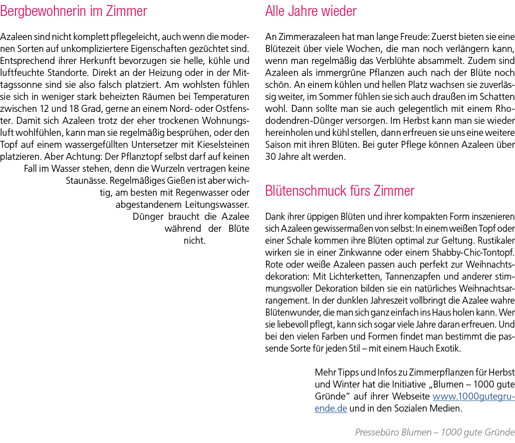 Bergbewohnerin im Zimmer Azaleen sind nicht komplett pflegeleicht, auch wenn die modernen Sorten auf unkompliziertere...