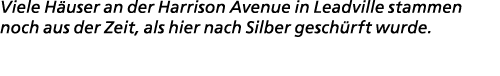 Viele H user an der Harrison Avenue in Leadville stammen noch aus der Zeit, als hier nach Silber gesch rft wurde.