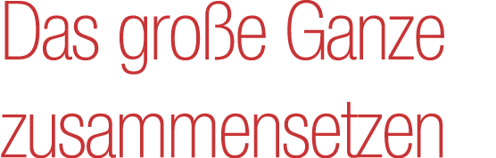 Das gro e Ganze zusammensetzen