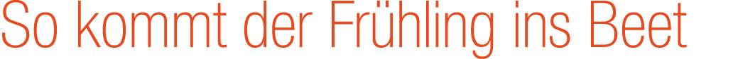So kommt der Fr hling ins Beet