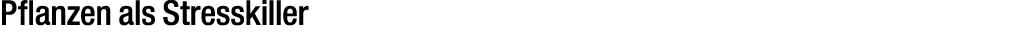 Pflanzen als Stresskiller 
