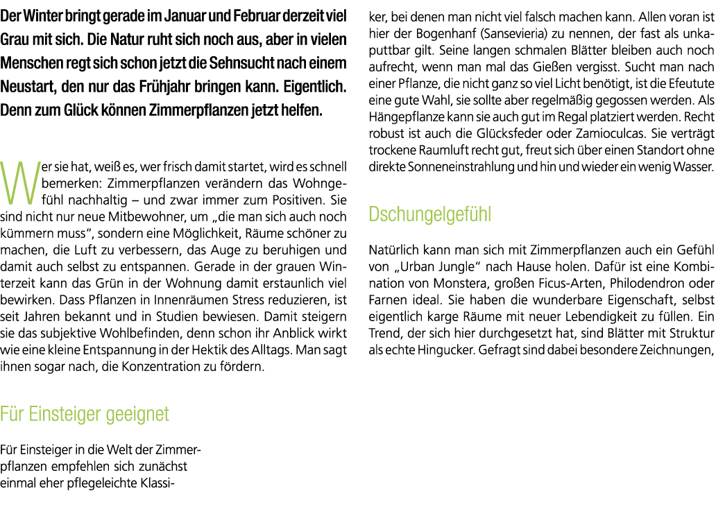 Der Winter bringt gerade im Januar und Februar derzeit viel Grau mit sich. Die Natur ruht sich noch aus, aber in viel...