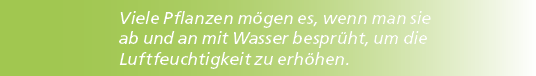 Viele Pflanzen m gen es, wenn man sie ab und an mit Wasser bespr ht, um die Luftfeuchtigkeit zu erh hen.