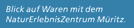 Blick auf Waren mit dem NaturErlebnisZentrum M ritz.