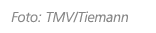 Foto: TMV/Tiemann