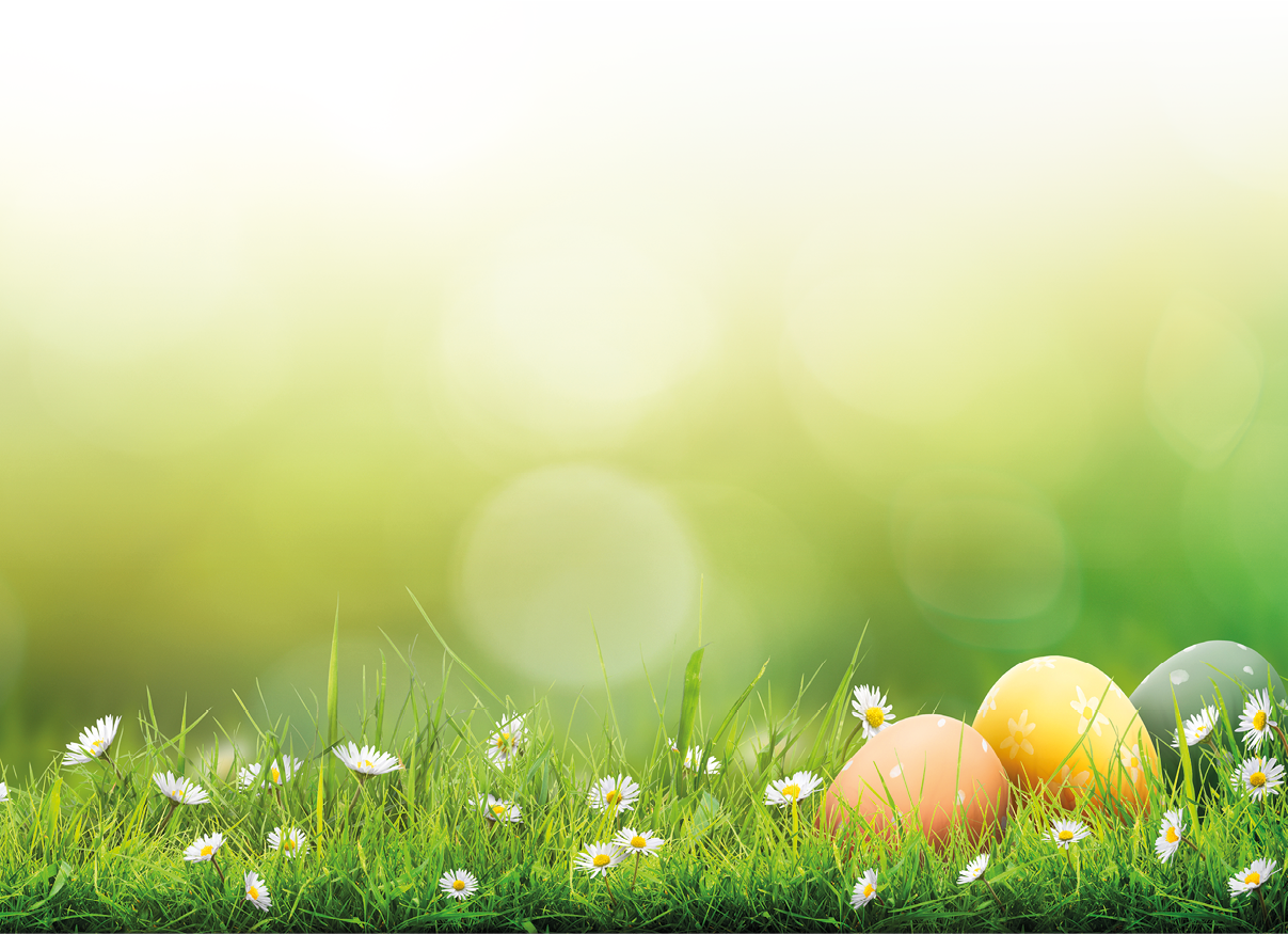 Six painted easter eggs celebrating a Happy Easter on a spring day with a green grass meadow, bright sunlight and a warm colour background with copy space.