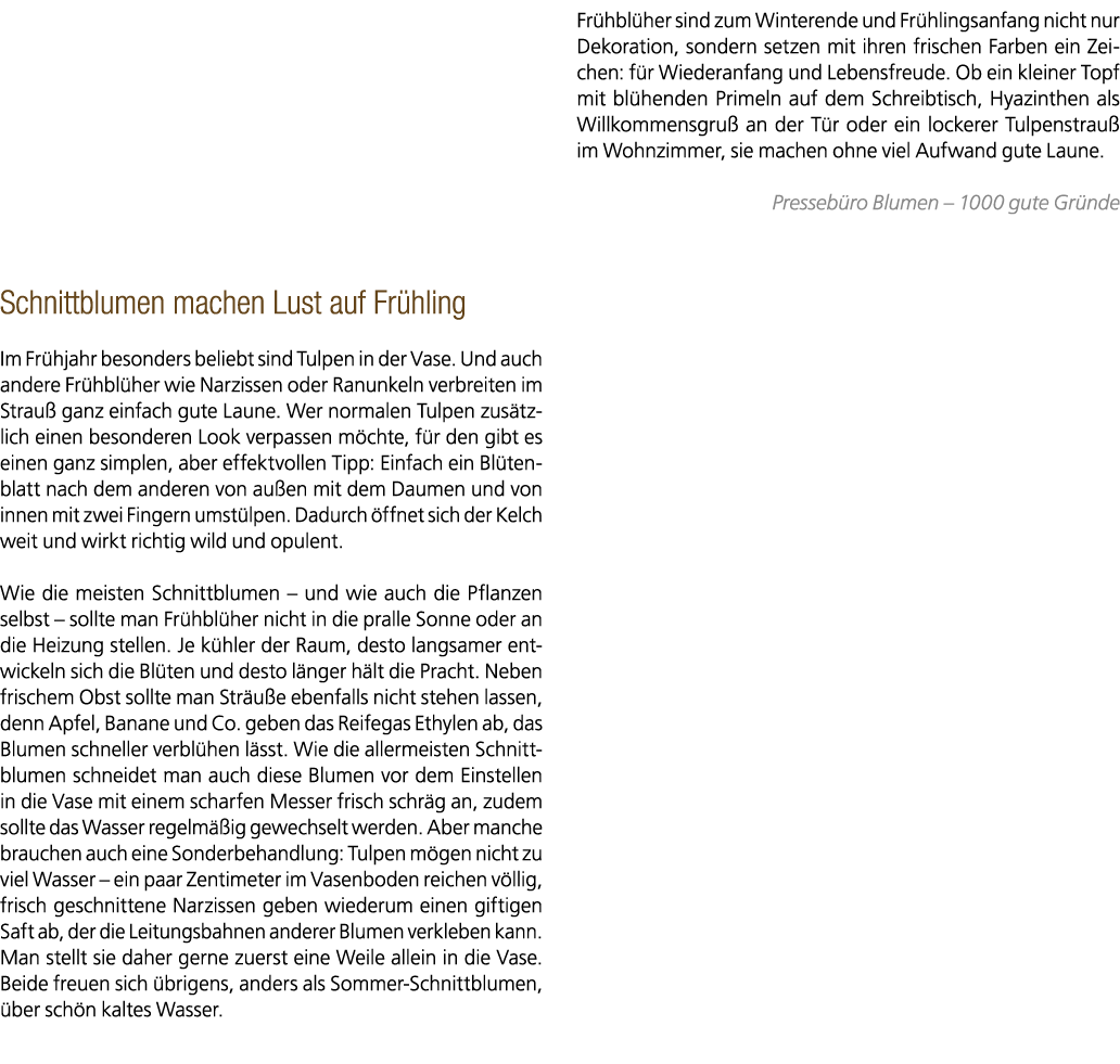 Schnittblumen machen Lust auf Fr hling Im Fr hjahr besonders beliebt sind Tulpen in der Vase. Und auch andere Fr hbl ...