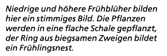 Niedrige und h here Fr hbl her bilden hier ein stimmiges Bild. Die Pflanzen werden in eine flache Schale gepflanzt, d...