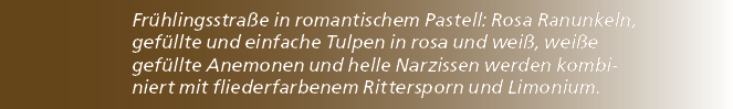 Fr hlingsstra e in romantischem Pastell: Rosa Ranunkeln, gef llte und einfache Tulpen in rosa und wei , wei e gef llt...