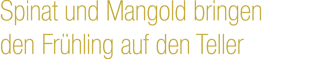 Spinat und Mangold bringen den Fr hling auf den Teller