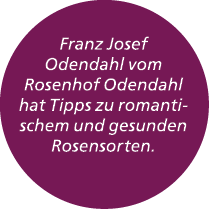Franz Josef Odendahl vom Rosenhof Odendahl hat Tipps zu romantischem und gesunden Rosensorten. 
