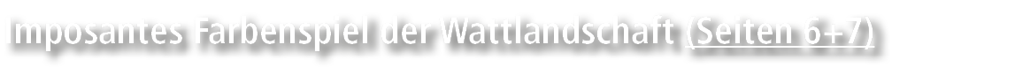 Imposantes Farbenspiel der Wattlandschaft (Seiten 6+7)