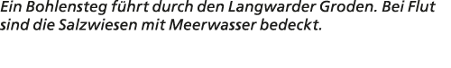 Ein Bohlensteg f hrt durch den Langwarder Groden. Bei Flut sind die Salzwiesen mit Meerwasser bedeckt.